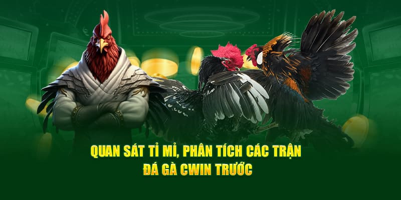 Mẹo chơi đá gà cwin luôn thắng