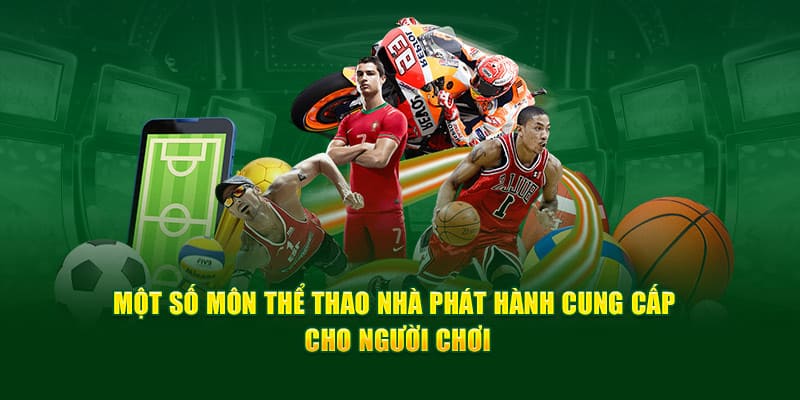 Các môn thể thao tại im sports cwin