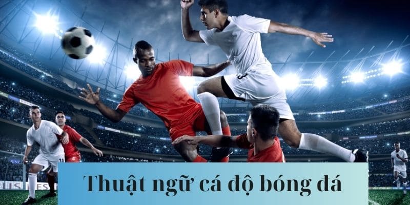 Giới thiệu thuật ngữ cá độ bóng đá