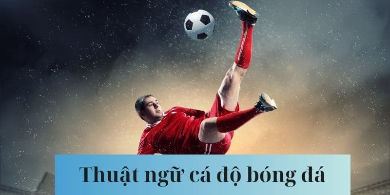 Thuật ngữ cá độ bóng đá loại kèo