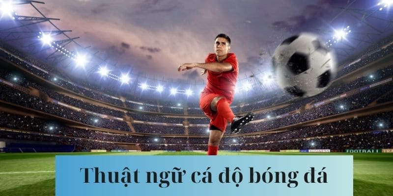 thuật ngữ cá độ bóng đá tại Việt Nam